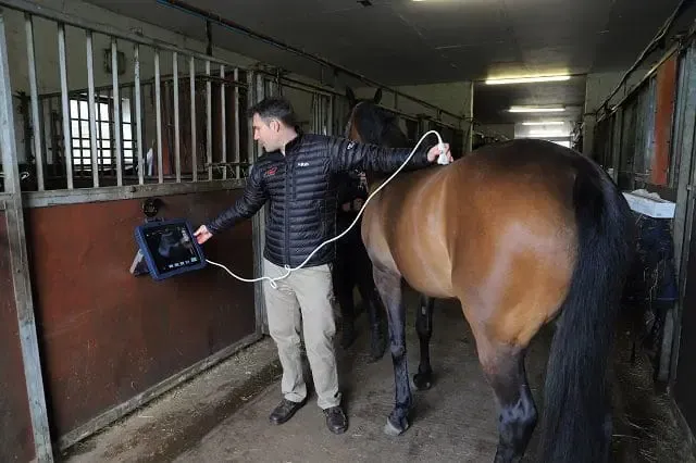 9-back-scanning-sam-1_resized_2024-04-16-070004_mhsv