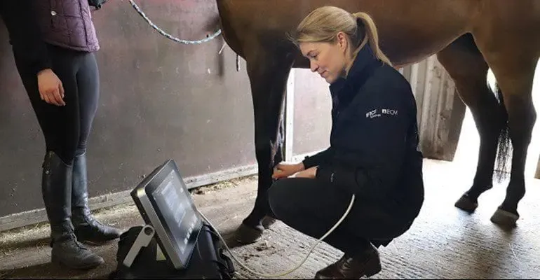 9-tendon-scanning-laura-7_resized_2024-04-16-070004_tadr