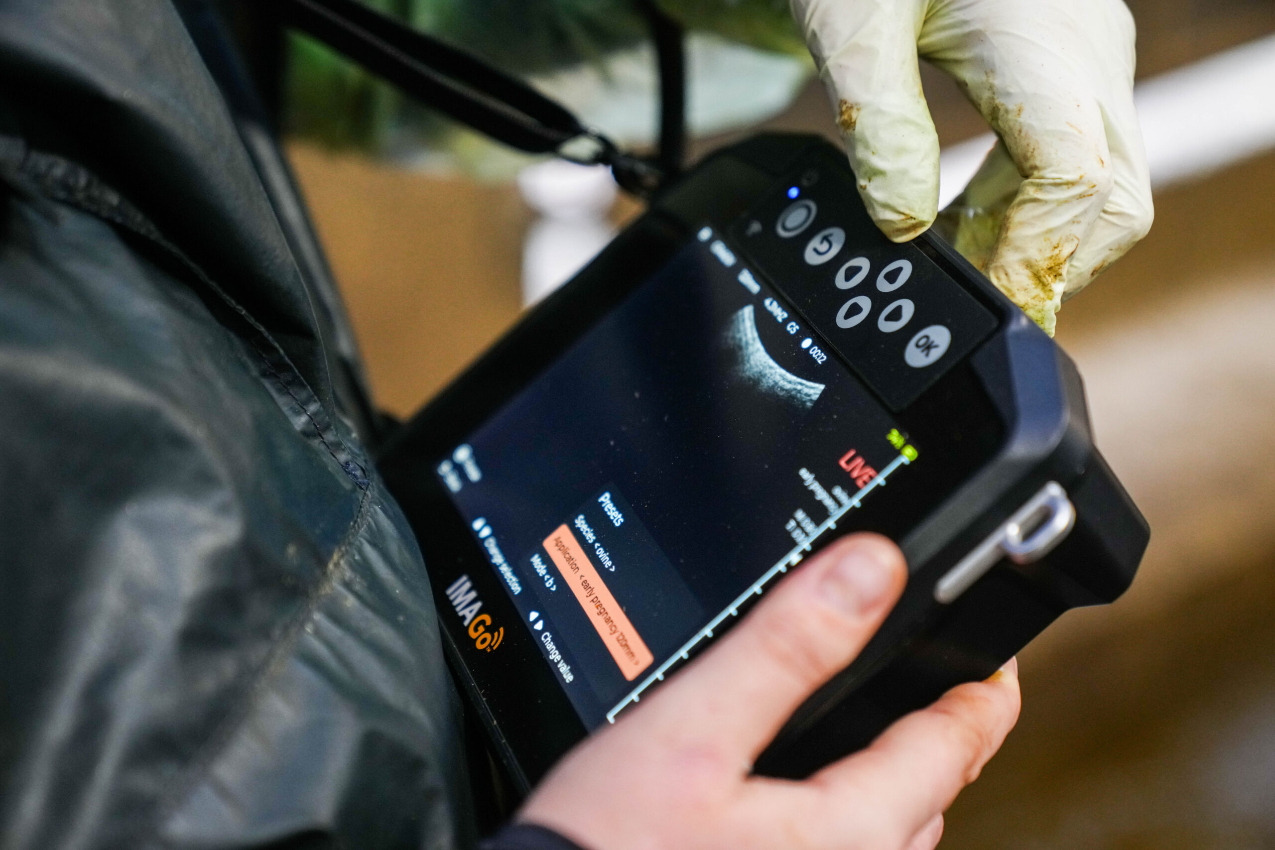 Imago-Flex-in-action