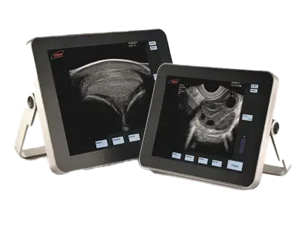 exapad-equine-min-1_2024-04-16-070005_qenp (1) copy