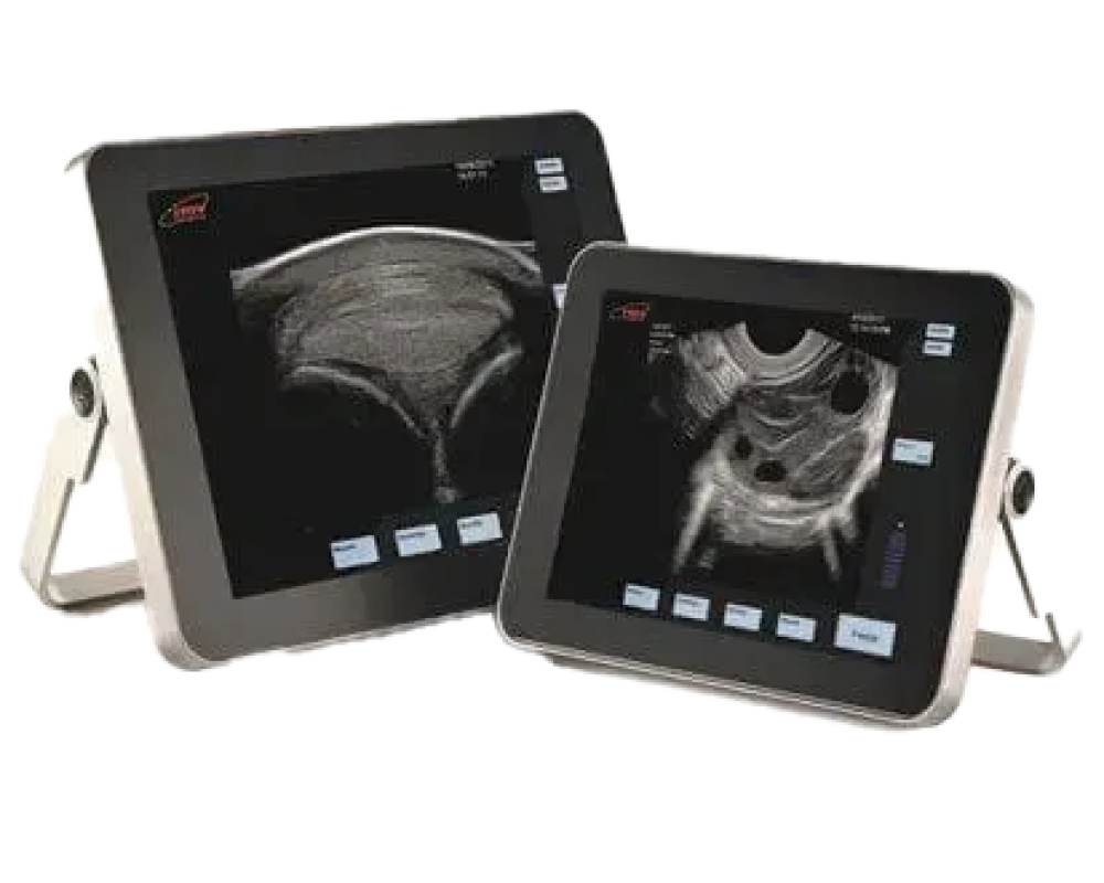 exapad-equine-min-1_2024-04-16-070005_qenp (1) copy